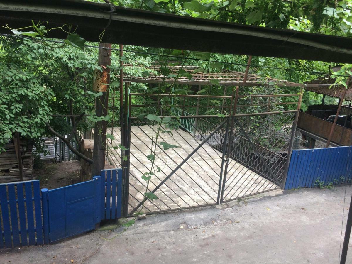 Guesthouse Malkhazi Borjomi Exterior foto